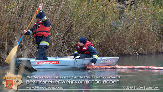 20181120 Kleiner Gewsserschaden auf Teich in der Eigenheimsiedlung Mllersdorf/Guntramsdorf  Foto:  Stefan Schneider BFK BADEN