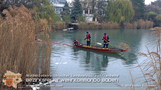 20181120 Kleiner Gewsserschaden auf Teich in der Eigenheimsiedlung Mllersdorf/Guntramsdorf  Foto:  Stefan Schneider BFK BADEN