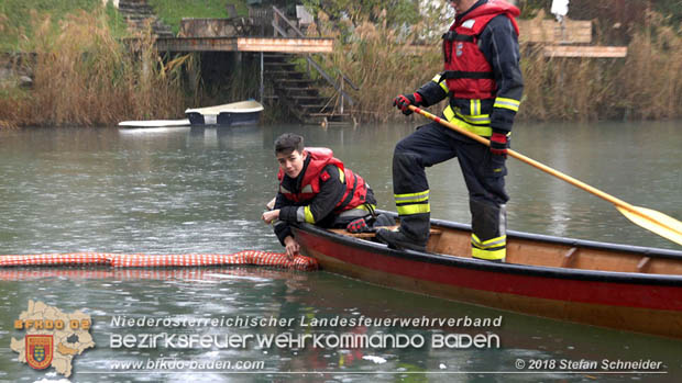 20181120 Kleiner Gewsserschaden auf Teich in der Eigenheimsiedlung Mllersdorf/Guntramsdorf  Foto:  Stefan Schneider BFK BADEN