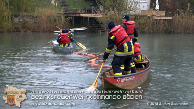 20181120 Kleiner Gewsserschaden auf Teich in der Eigenheimsiedlung Mllersdorf/Guntramsdorf  Foto:  Stefan Schneider BFK BADEN