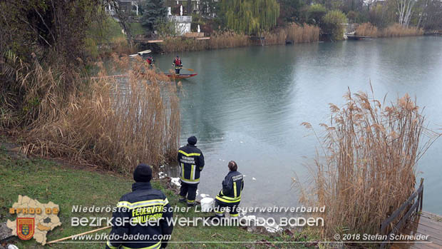 20181120 Kleiner Gewsserschaden auf Teich in der Eigenheimsiedlung Mllersdorf/Guntramsdorf  Foto:  Stefan Schneider BFK BADEN