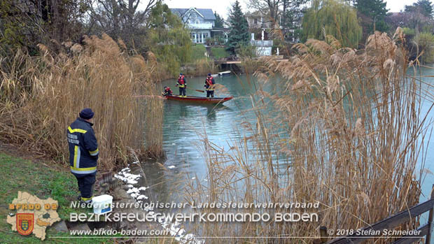 20181120 Kleiner Gewsserschaden auf Teich in der Eigenheimsiedlung Mllersdorf/Guntramsdorf  Foto:  Stefan Schneider BFK BADEN