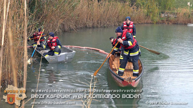 20181120 Kleiner Gewsserschaden auf Teich in der Eigenheimsiedlung Mllersdorf/Guntramsdorf  Foto:  Stefan Schneider BFK BADEN