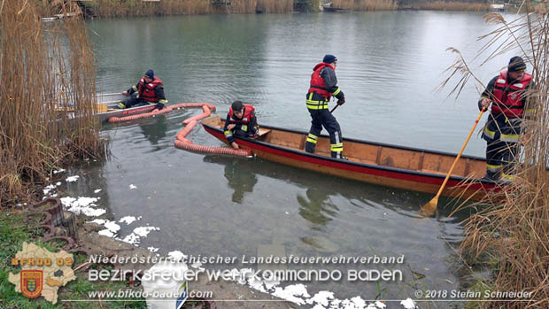 20181120 Kleiner Gewsserschaden auf Teich in der Eigenheimsiedlung Mllersdorf/Guntramsdorf  Foto:  Stefan Schneider BFK BADEN