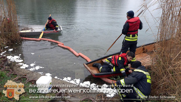 20181120 Kleiner Gewsserschaden auf Teich in der Eigenheimsiedlung Mllersdorf/Guntramsdorf  Foto:  Stefan Schneider BFK BADEN