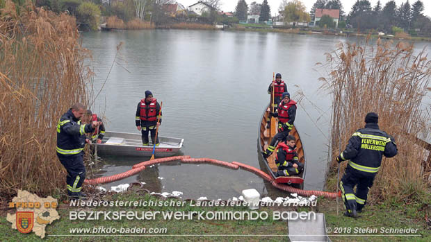 20181120 Kleiner Gewsserschaden auf Teich in der Eigenheimsiedlung Mllersdorf/Guntramsdorf  Foto:  Stefan Schneider BFK BADEN