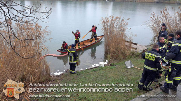 20181120 Kleiner Gewsserschaden auf Teich in der Eigenheimsiedlung Mllersdorf/Guntramsdorf  Foto:  Stefan Schneider BFK BADEN