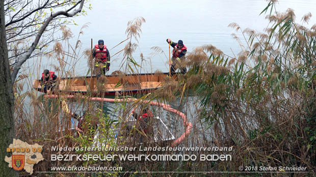 20181120 Kleiner Gewsserschaden auf Teich in der Eigenheimsiedlung Mllersdorf/Guntramsdorf  Foto:  Stefan Schneider BFK BADEN