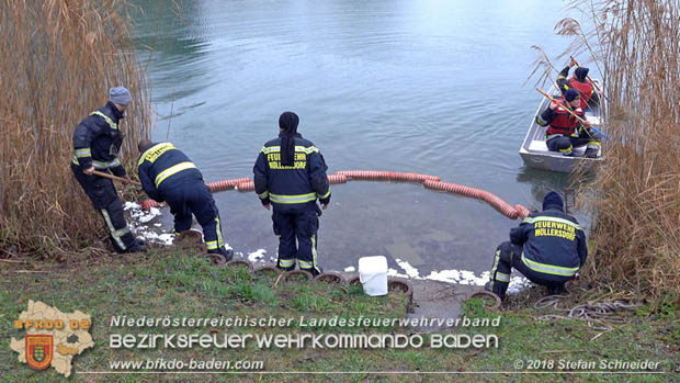 20181120 Kleiner Gewsserschaden auf Teich in der Eigenheimsiedlung Mllersdorf/Guntramsdorf  Foto:  Stefan Schneider BFK BADEN