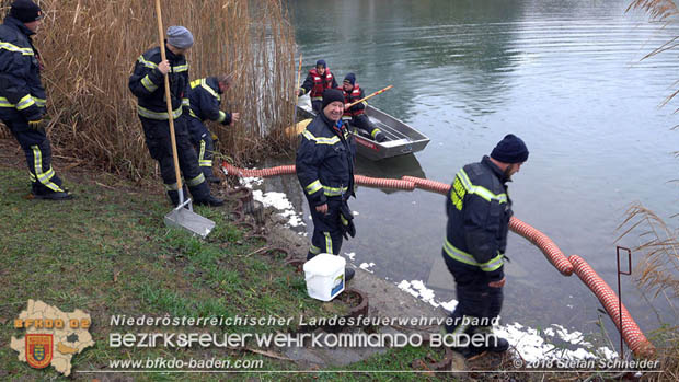 20181120 Kleiner Gewsserschaden auf Teich in der Eigenheimsiedlung Mllersdorf/Guntramsdorf  Foto:  Stefan Schneider BFK BADEN