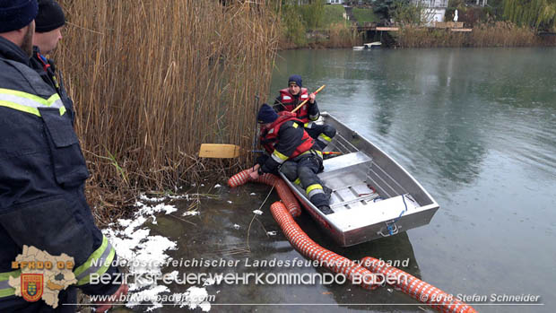 20181120 Kleiner Gewsserschaden auf Teich in der Eigenheimsiedlung Mllersdorf/Guntramsdorf  Foto:  Stefan Schneider BFK BADEN