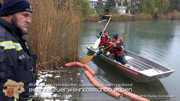 20181120 Kleiner Gewsserschaden auf Teich in der Eigenheimsiedlung Mllersdorf/Guntramsdorf  Foto:  Stefan Schneider BFK BADEN