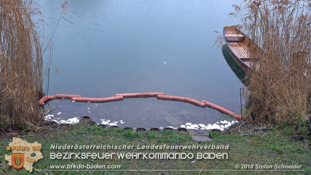 20181120 Kleiner Gewsserschaden auf Teich in der Eigenheimsiedlung Mllersdorf/Guntramsdorf  Foto:  Stefan Schneider BFK BADEN