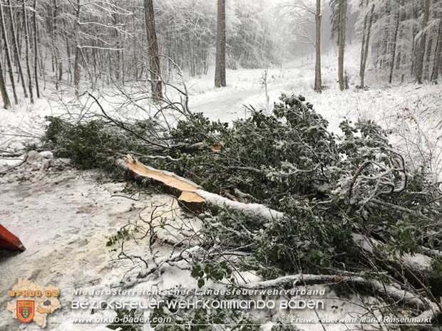 20181212 Baum über Güterweg Maria Raisenmarkt in Richtung Zoblhof Foto: © FF Maria Raisenmarkt 20181212 Baum über Güterweg Maria Raisenmarkt in Richtung Zoblhof Foto: © FF Maria Raisenmarkt