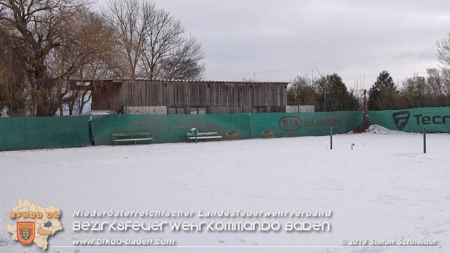 20190104 Zwei hilflose Rehe am Tennisplatz in Tribuswinkel  Foto: © Stefan Schneider