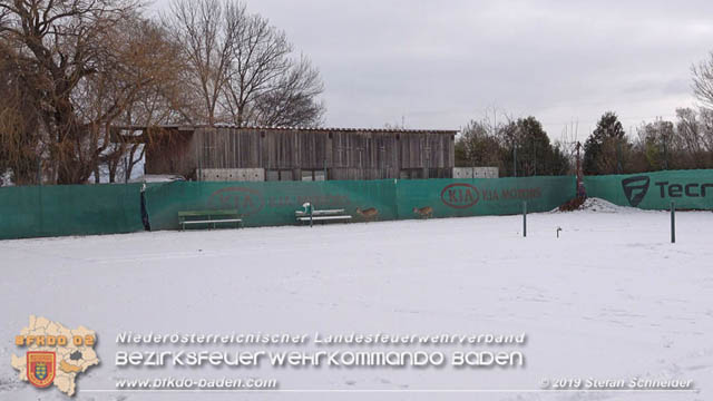 20190104 Zwei hilflose Rehe am Tennisplatz in Tribuswinkel Foto: © Stefan Schneider 20190104 Zwei hilflose Rehe am Tennisplatz in Tribuswinkel Foto: © Stefan Schneider