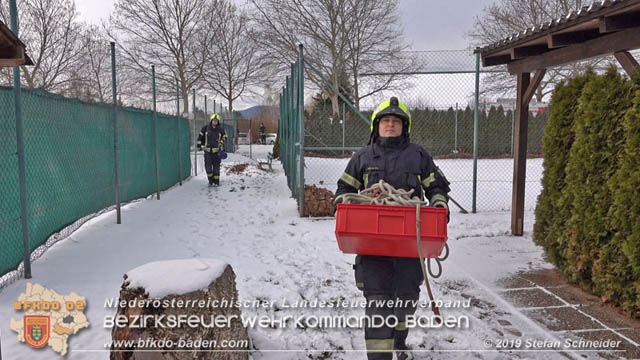 20190104 Zwei hilflose Rehe am Tennisplatz in Tribuswinkel  Foto: © Stefan Schneider