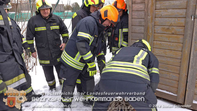 20190104 Zwei hilflose Rehe am Tennisplatz in Tribuswinkel  Foto: © Stefan Schneider