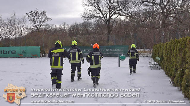 20190104 Zwei hilflose Rehe am Tennisplatz in Tribuswinkel  Foto: © Stefan Schneider