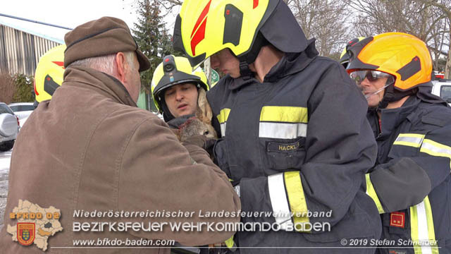 20190104 Zwei hilflose Rehe am Tennisplatz in Tribuswinkel  Foto: © Stefan Schneider