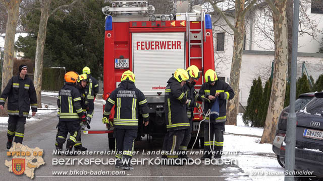 20190104 Zwei hilflose Rehe am Tennisplatz in Tribuswinkel  Foto: © Stefan Schneider