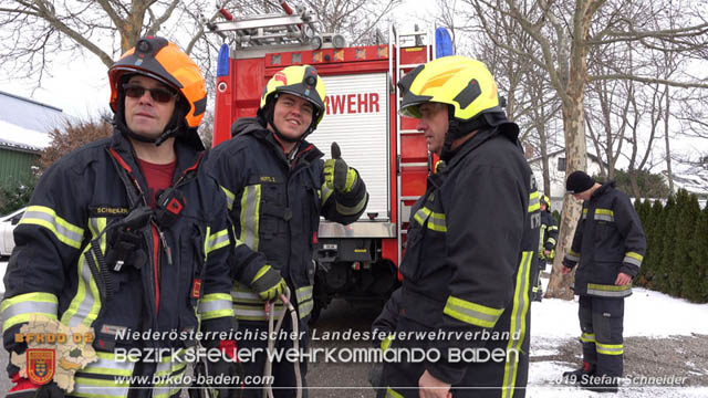 20190104 Zwei hilflose Rehe am Tennisplatz in Tribuswinkel  Foto: © Stefan Schneider