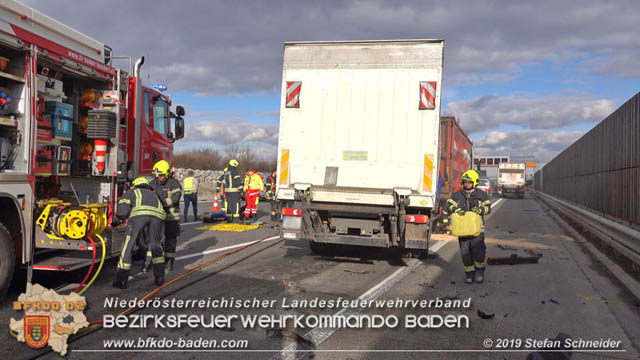 20190129 VU A2 RFB Wien zwischen Baden und Traiskirchen  Foto: © Stefan Schneider