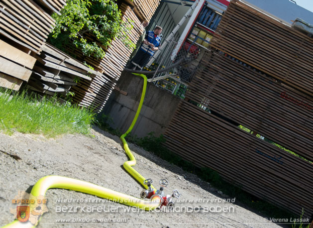 20190424 Silobrand Sooss - Foto: Stefan Schneider, Verena Lassak, Daniel Wirth, FFBV