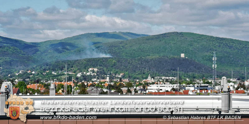 20190428 Waldbrand in Baden Ortsteil Weikersdorf  Foto:  Sebastian Habres BTF LK BADEN