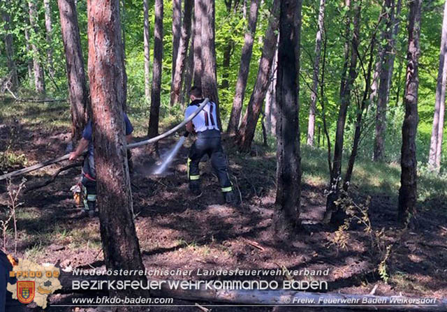 20190428 Waldbrand in Baden Ortsteil Weikersdorf  Foto:  FF Baden Weikersdorf