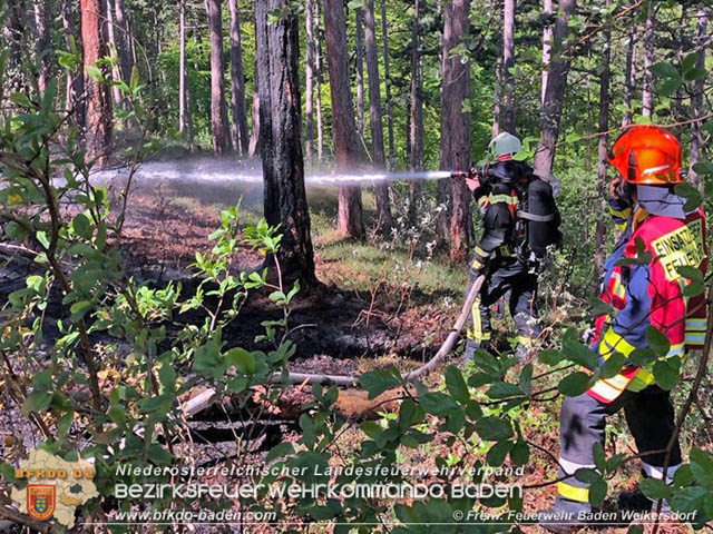 20190428 Waldbrand in Baden Ortsteil Weikersdorf  Foto:  FF Baden Weikersdorf