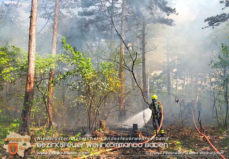 20190428 Waldbrand in Baden Ortsteil Weikersdorf  Foto:  FF Baden Weikersdorf