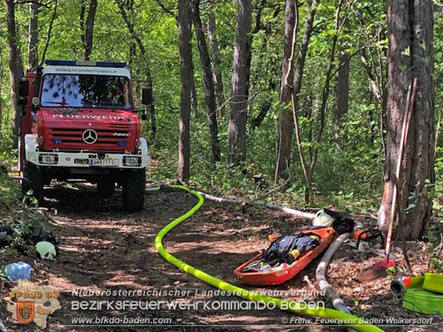 20190428 Waldbrand in Baden Ortsteil Weikersdorf  Foto:  FF Baden Weikersdorf