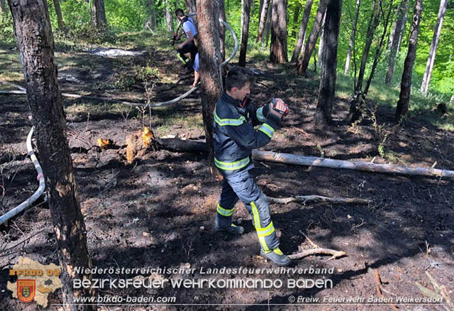 20190428 Waldbrand in Baden Ortsteil Weikersdorf  Foto:  FF Baden Weikersdorf