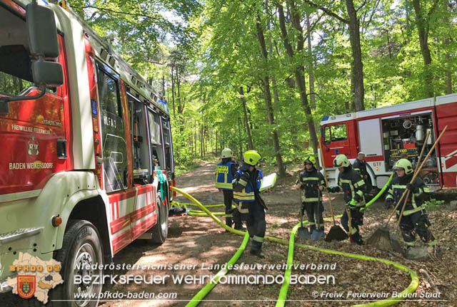 20190428 Waldbrand in Baden Ortsteil Weikersdorf Foto: © FF Baden-Stadt Roman Van de Castell 20190428 Waldbrand in Baden Ortsteil Weikersdorf Foto: © FF Baden-Stadt Roman Van de Castell