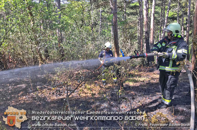 20190428 Waldbrand in Baden Ortsteil Weikersdorf Foto: © FF Baden-Stadt Roman Van de Castell 20190428 Waldbrand in Baden Ortsteil Weikersdorf Foto: © FF Baden-Stadt Roman Van de Castell