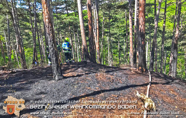 20190428 Waldbrand in Baden Ortsteil Weikersdorf Foto: © FF Baden-Stadt Roman Van de Castell 20190428 Waldbrand in Baden Ortsteil Weikersdorf Foto: © FF Baden-Stadt Roman Van de Castell