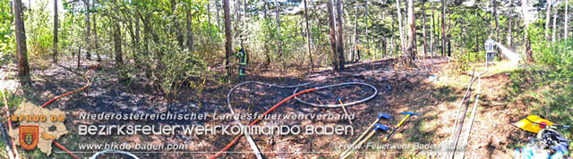 20190428 Waldbrand in Baden Ortsteil Weikersdorf Foto: © FF Baden-Stadt Roman Van de Castell 20190428 Waldbrand in Baden Ortsteil Weikersdorf Foto: © FF Baden-Stadt Roman Van de Castell