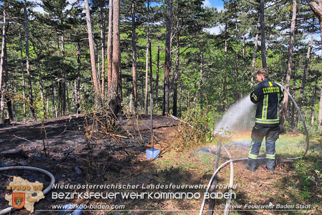 20190428 Waldbrand in Baden Ortsteil Weikersdorf  Foto:  FF Baden-Stadt  Roman Van de Castell