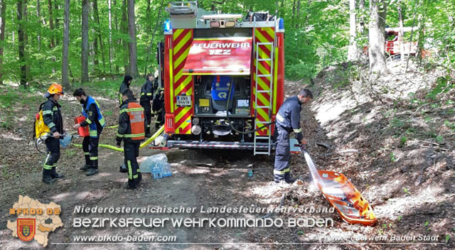 20190428 Waldbrand in Baden Ortsteil Weikersdorf  Foto:  FF Baden-Stadt  Roman Whrer