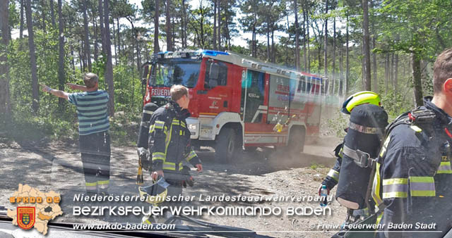 20190428 Waldbrand in Baden Ortsteil Weikersdorf  Foto:  FF Baden-Stadt  Roman Whrer