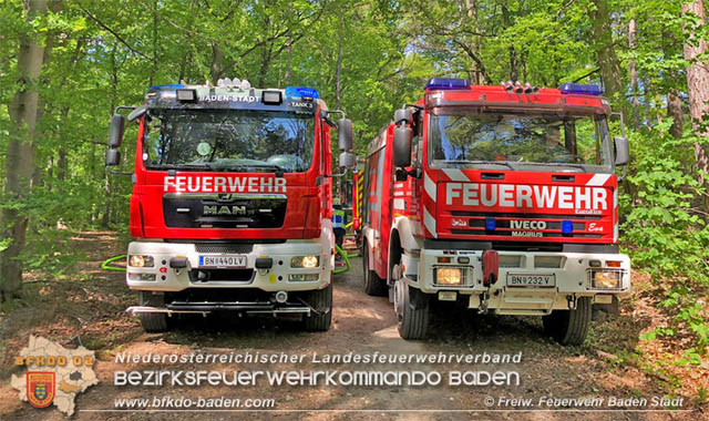 20190428 Waldbrand in Baden Ortsteil Weikersdorf  Foto:  FF Baden-Stadt Thomas Hanai