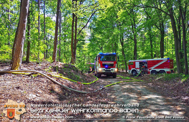 20190428 Waldbrand in Baden Ortsteil Weikersdorf  Foto:  Freiw. Feuerwehr Stadt Bad Vslau