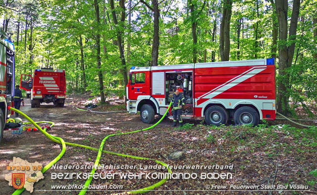 20190428 Waldbrand in Baden Ortsteil Weikersdorf  Foto:  Freiw. Feuerwehr Stadt Bad Vslau