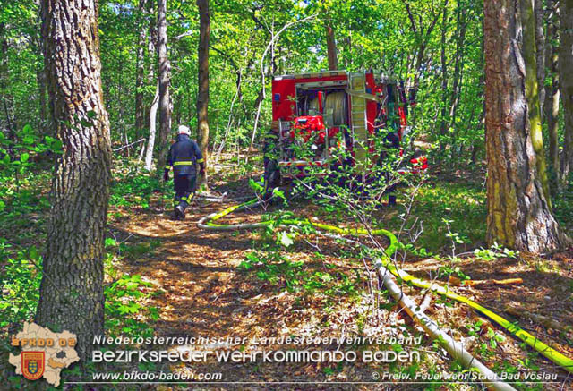 20190428 Waldbrand in Baden Ortsteil Weikersdorf  Foto:  Freiw. Feuerwehr Stadt Bad Vslau