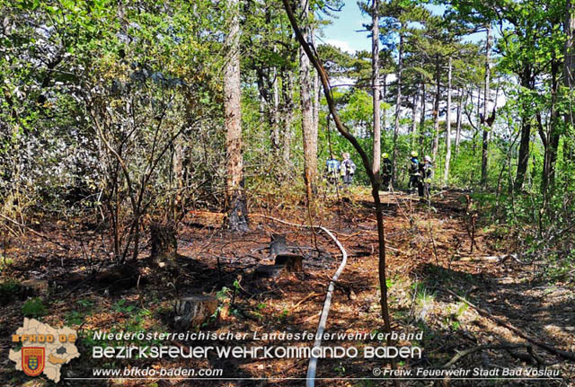 20190428 Waldbrand in Baden Ortsteil Weikersdorf  Foto:  Freiw. Feuerwehr Stadt Bad Vslau