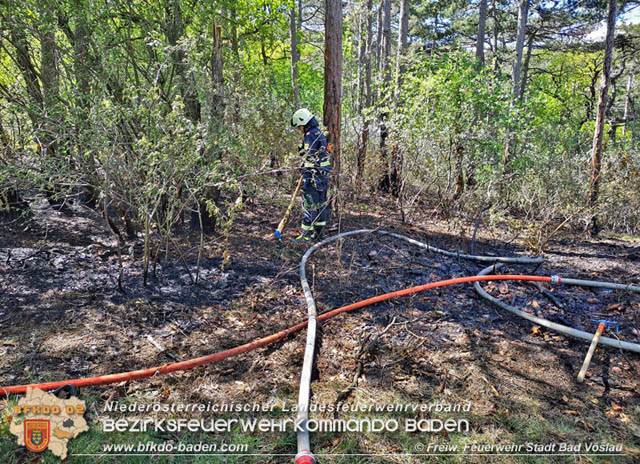 20190428 Waldbrand in Baden Ortsteil Weikersdorf  Foto:  Freiw. Feuerwehr Stadt Bad Vslau