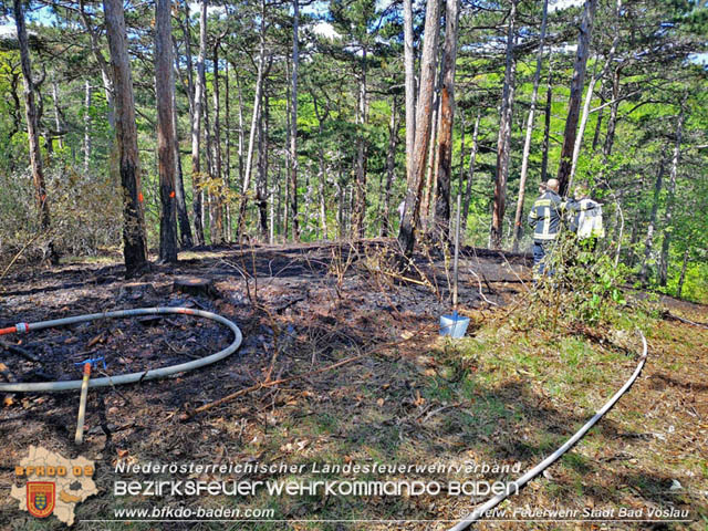 20190428 Waldbrand in Baden Ortsteil Weikersdorf  Foto:  Freiw. Feuerwehr Stadt Bad Vslau