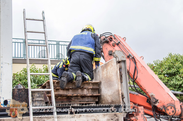 20190520 Menschenrettung Kottingbrunn - Foto: Melanie Deli