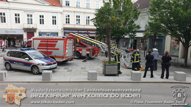 20190531 Bienenschwarm sorgte fr groe Aufregung in der Badener Fugngerzone  Foto:  Freiwillige Feuerwehr Baden-Stadt 